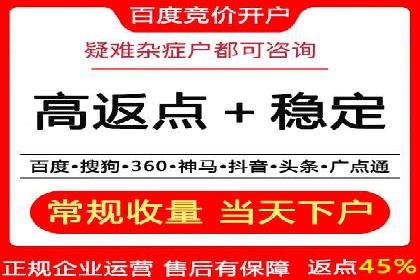 百度推广成功案例：打造行业领军品牌之路